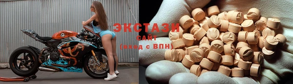 стаф Гусев