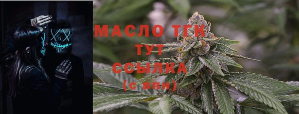 амф Гусиноозёрск