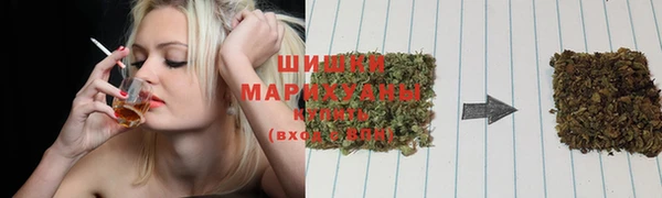 амф Гусиноозёрск