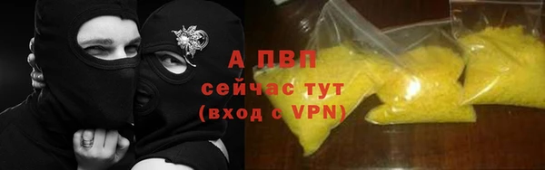 стаф Гусев