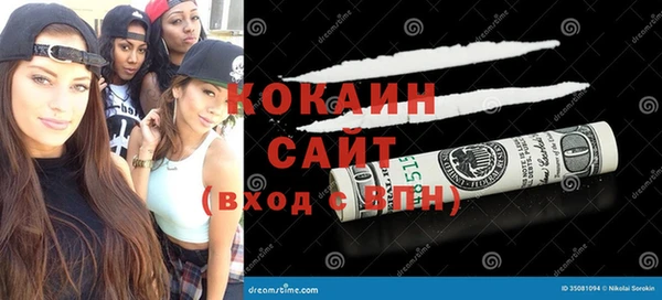 стаф Гусев