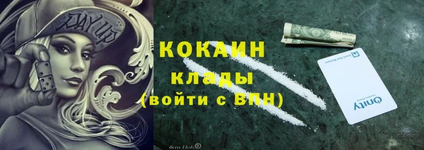 стаф Гусев