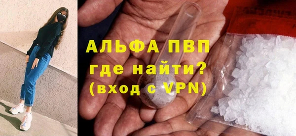 стаф Гусев