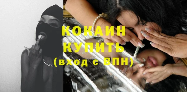 крисы Дмитриев