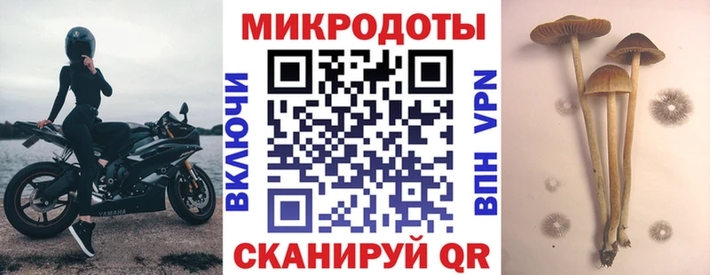 нарко площадка какой сайт Чистополь Псилоцибиновые грибы Magic Shrooms
